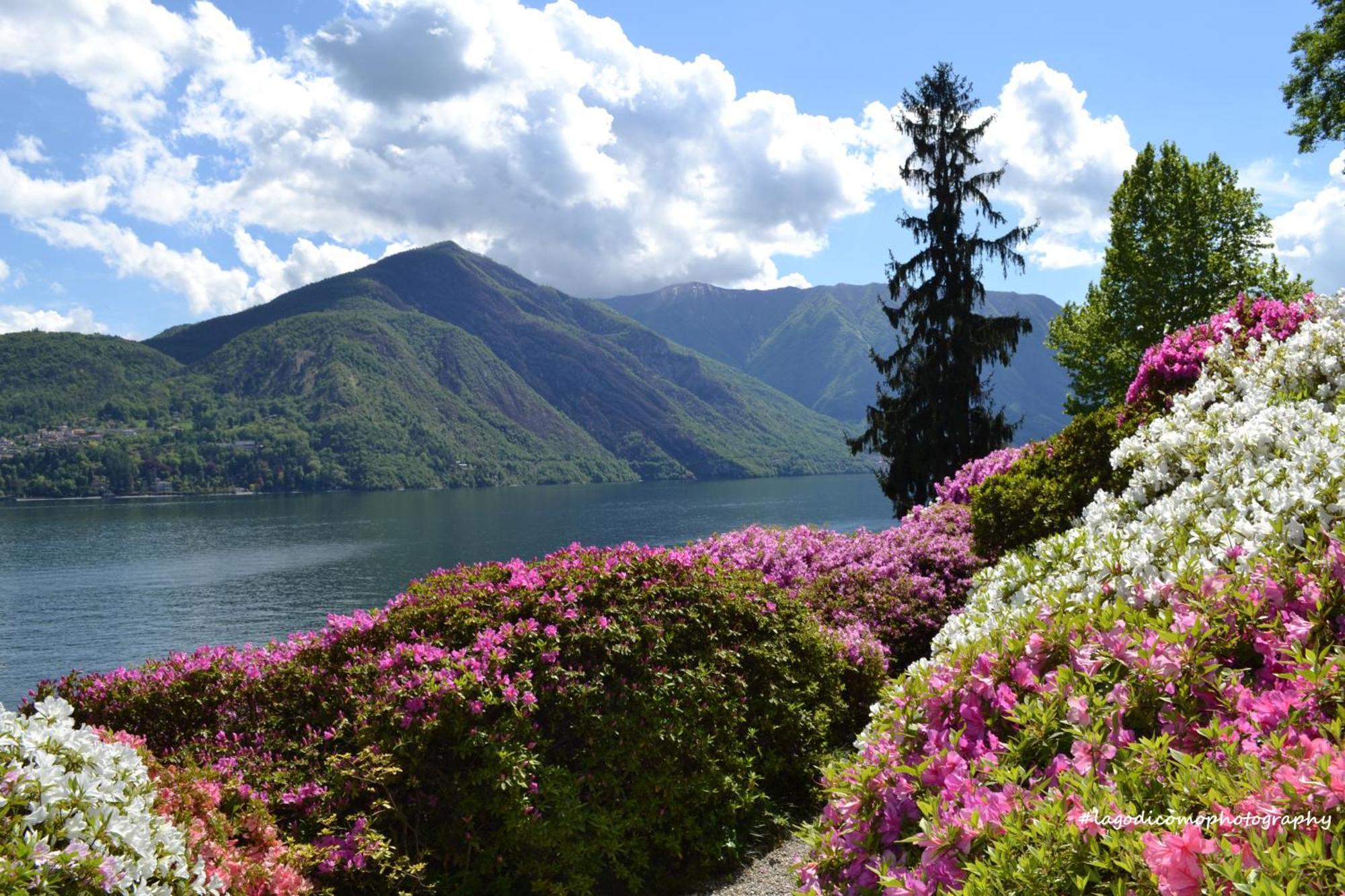 Appartamento Country House Menaggio Esterno foto
